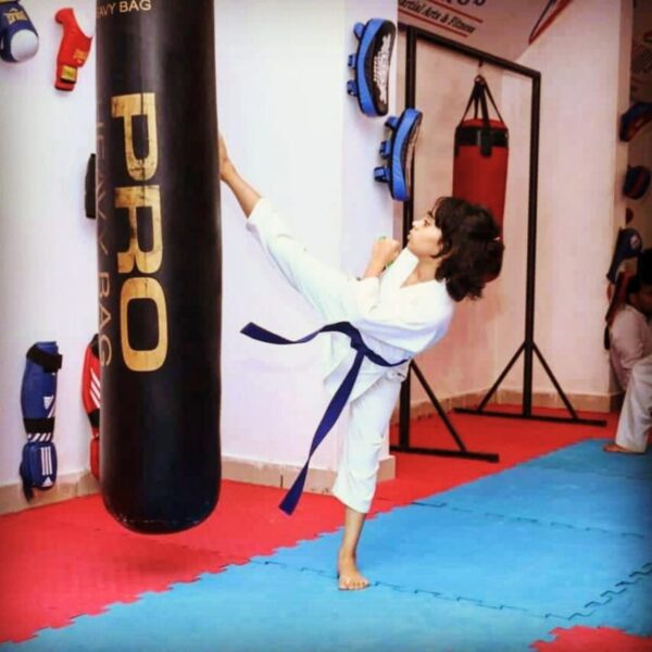 Boxing Punch Bag - Image 3