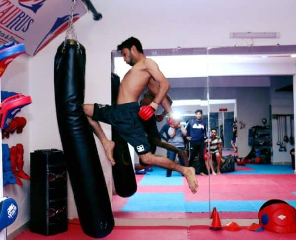 Boxing Punch Bag